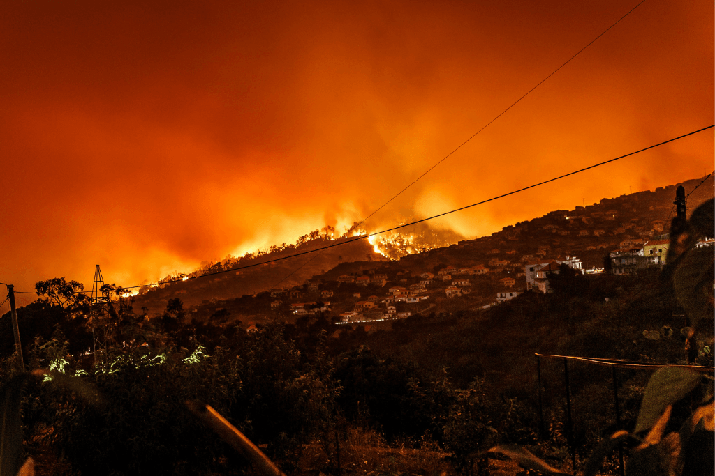 Catastrophic Wildfires: Can Technology Anticipate and Prevent Them?