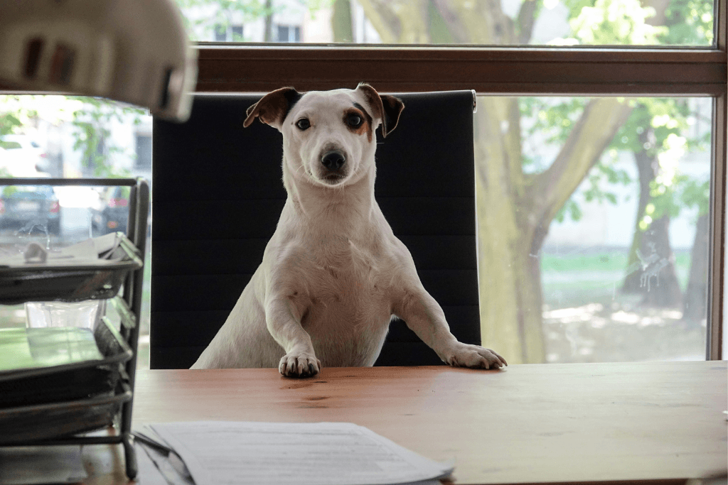 The Symbolism of Dogs in Architectural Practices: More Than Just a Pet