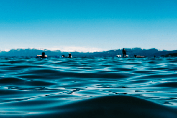 OCEANIX: Der weltweit erste Prototyp einer intelligenten schwimmenden Stadt