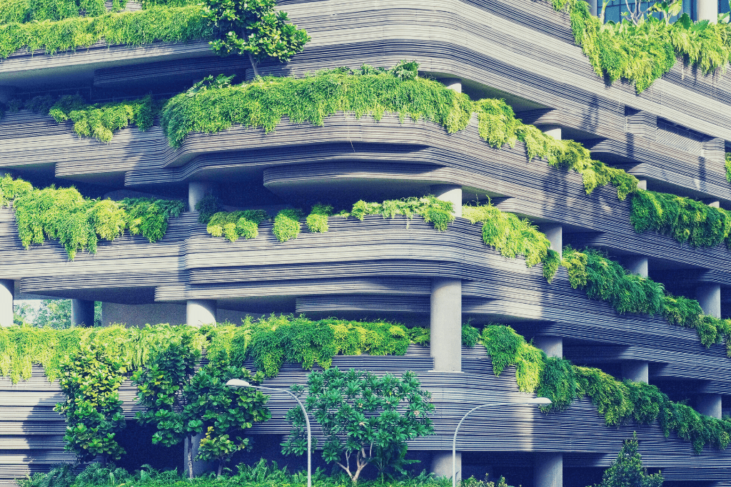 Photo d'un bâtiment orné de plante