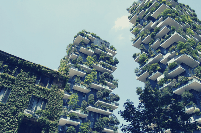 Image de bâtiments verts