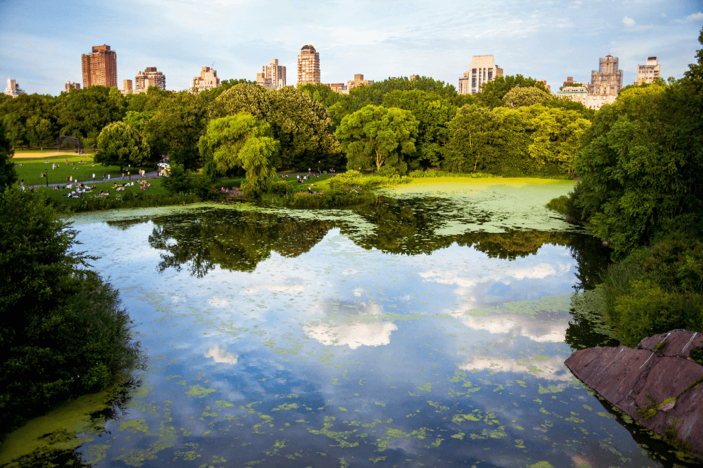 Nature, Outdoors, Pond